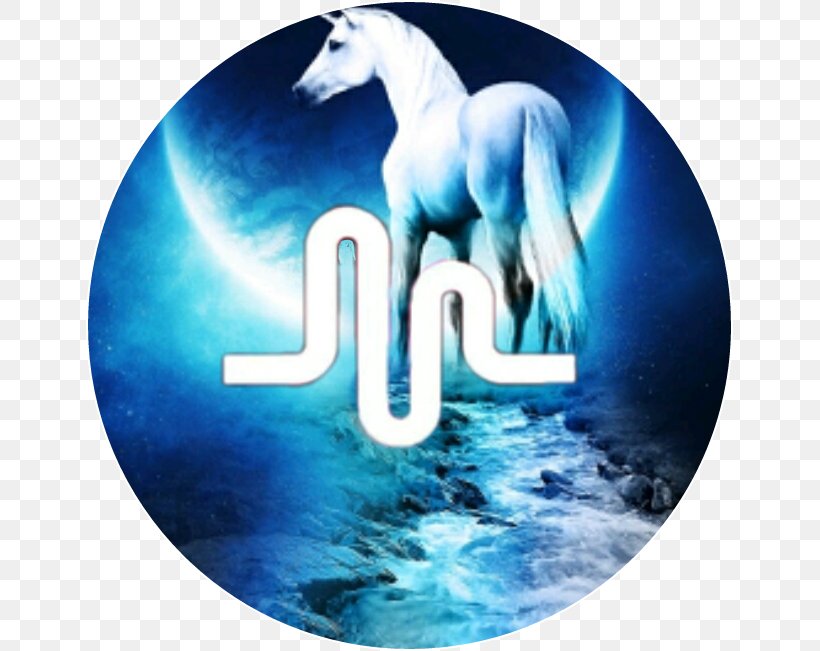 Musical.ly Unicorn Image Logo, PNG, 647x651px, Watercolor, Cartoon, Flower, Frame, Heart Download Free