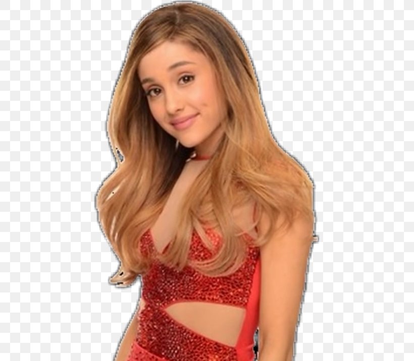 Ariana Grande Staples Center KIIS-FM Jingle Ball Victorious Photography, PNG, 447x716px, Watercolor, Cartoon, Flower, Frame, Heart Download Free