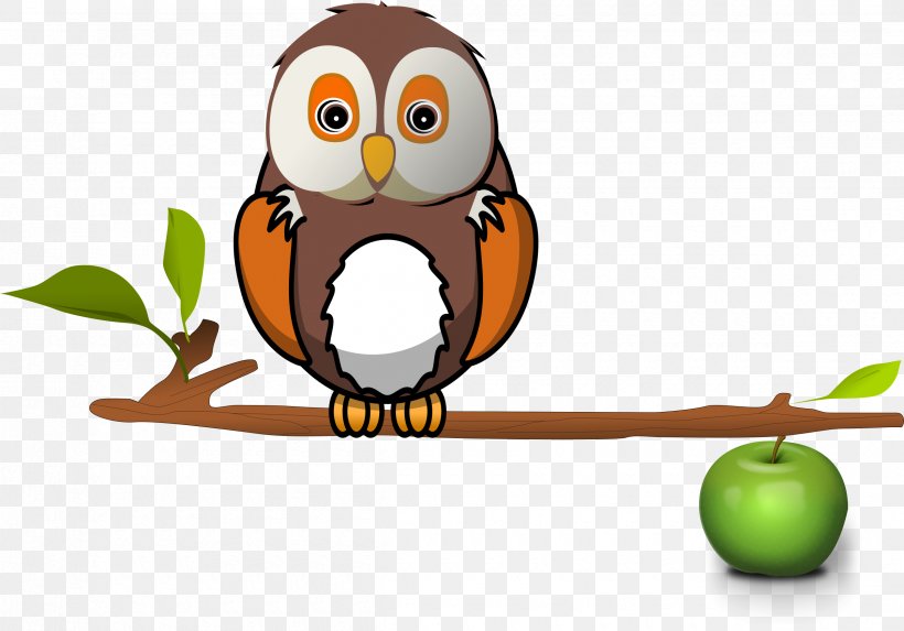 Branch Owl Tree Clip Art, PNG, 2400x1679px, Branch, Beak, Bird, Bird Of Prey, Food Download Free