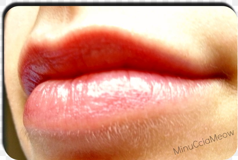 Lip Gloss Lipstick Close-up, PNG, 1491x1009px, Lip Gloss, Cheek, Chin, Close Up, Closeup Download Free