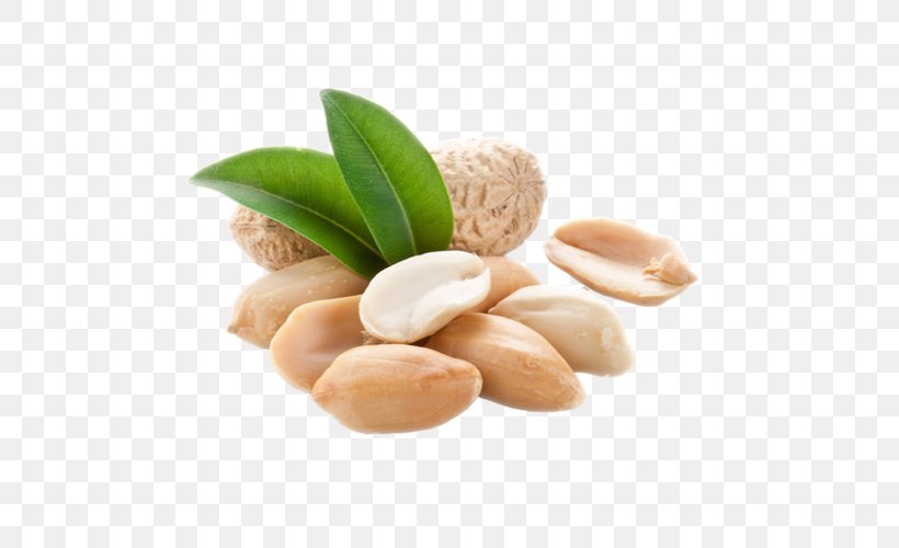 Peanut Allergy Food Breakfast Health, PNG, 500x500px, Peanut, Arachis, Breakfast, Commodity, Dietary Supplement Download Free