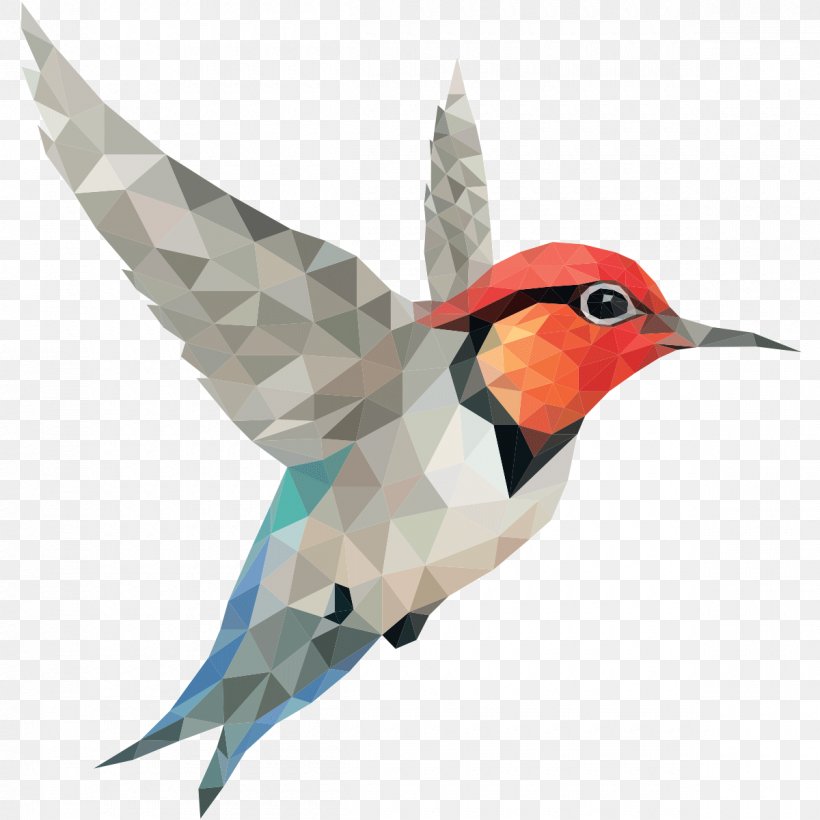 Clip Art Desktop Wallpaper Bird Image, PNG, 1200x1200px, Bird, Beak, Data Compression, Fauna, Feather Download Free