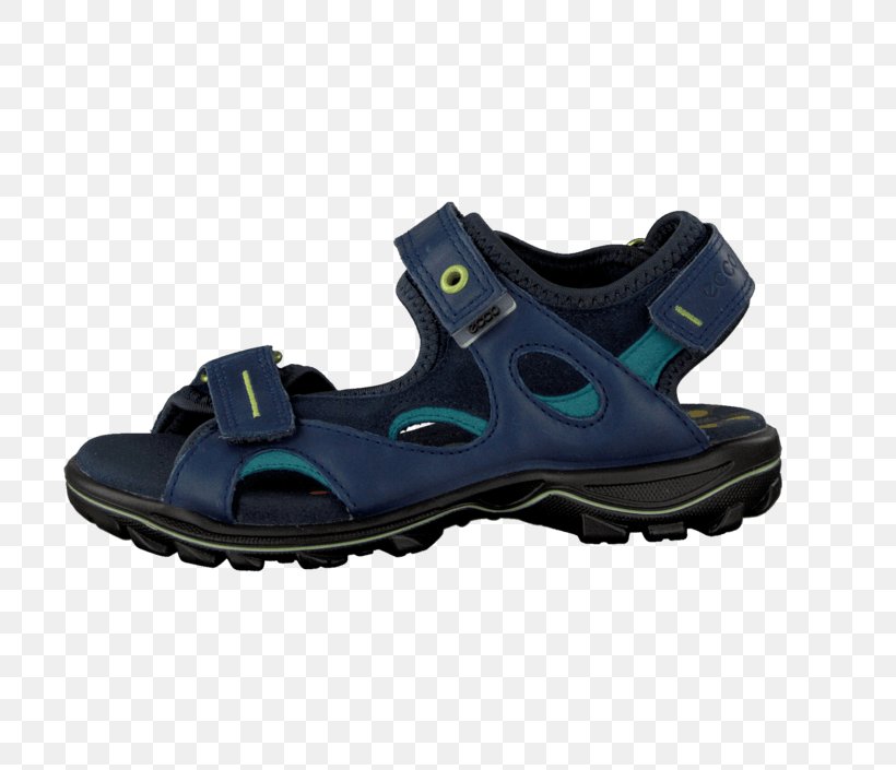 Shoe Sandal Cross-training Sneakers Walking, PNG, 705x705px, Shoe, Cross Training Shoe, Crosstraining, Electric Blue, Footwear Download Free
