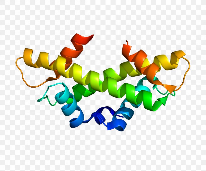 CENPA Centromere Protein Kinetochore Mitosis, PNG, 1200x1000px, Centromere, Chromosome, Gene, Genome, Histone Download Free