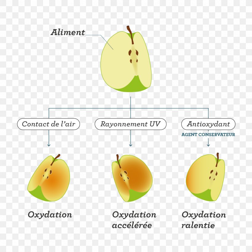 Fruit Food Chemistry Redox Eating, PNG, 1417x1417px, Fruit, Chemical Physics, Chemistry, Definition, Eating Download Free