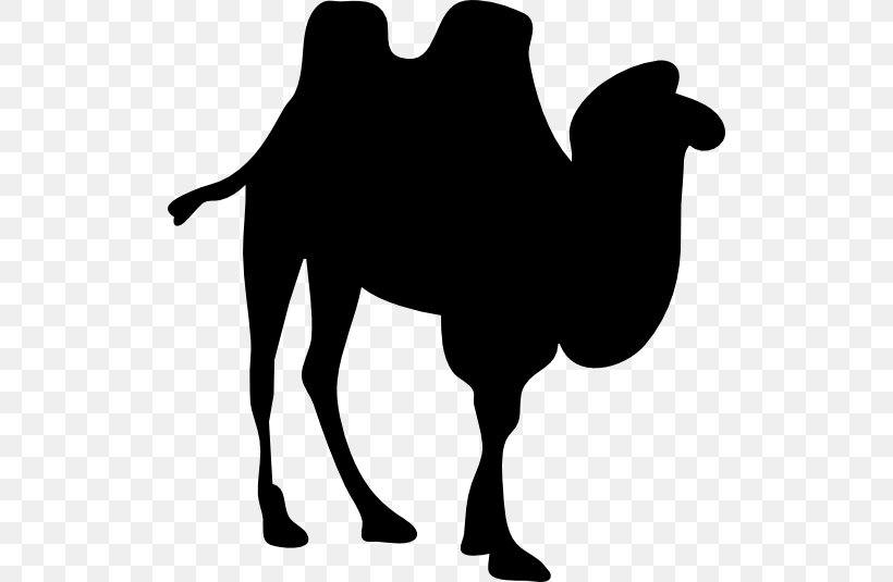 Dromedary Bactrian Camel Clip Art, PNG, 512x535px, Dromedary, Arabian Camel, Bactrian Camel, Black And White, Camel Download Free