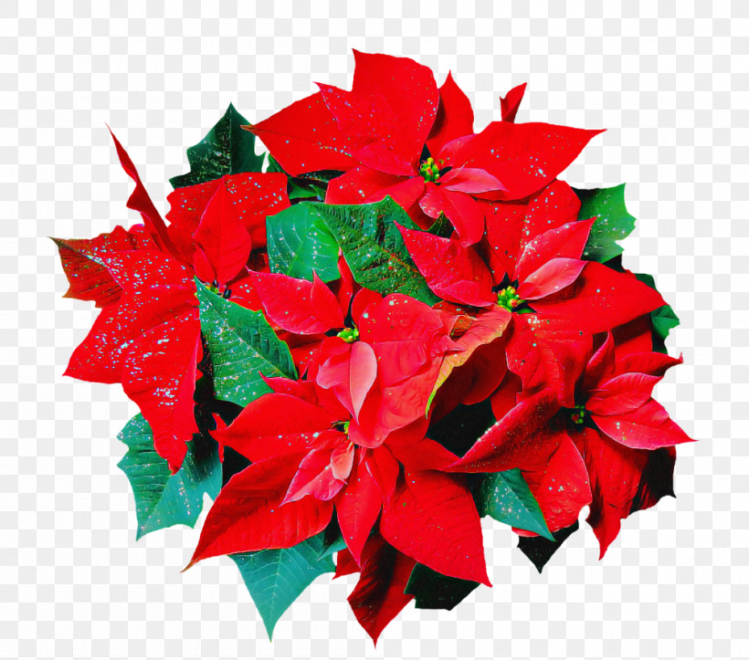 Flower Red Poinsettia Leaf Plant, PNG, 1000x882px, Flower, Leaf, Petal, Plant, Poinsettia Download Free