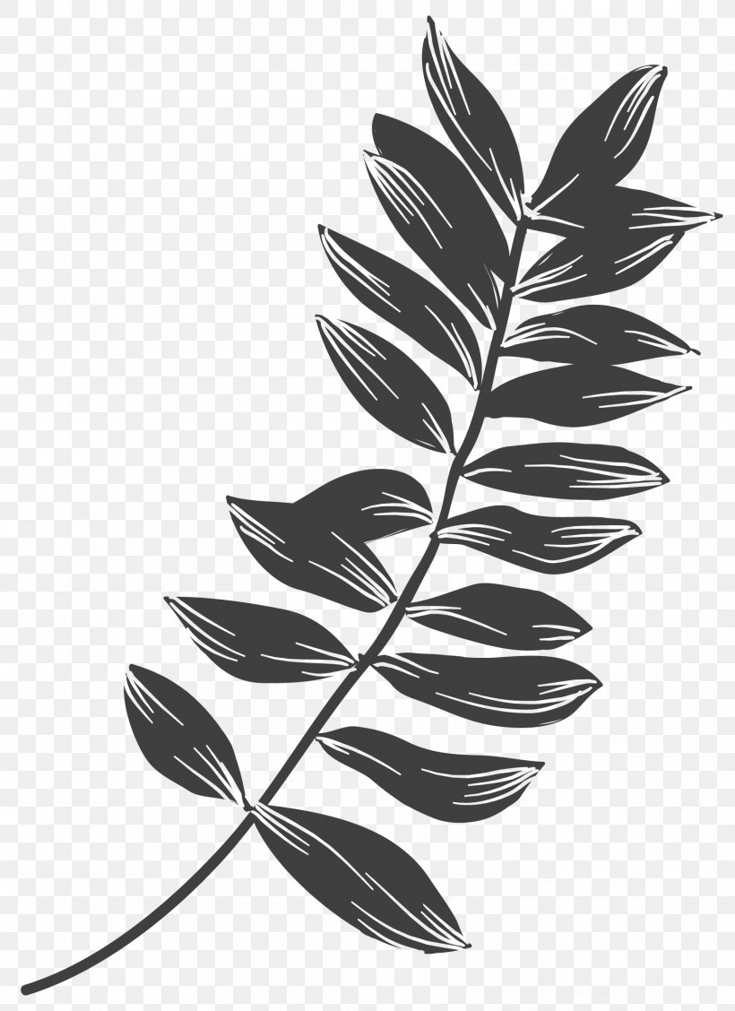 Plant Leaves Leaf Black And White, PNG, 1562x2150px, Plant Leaves