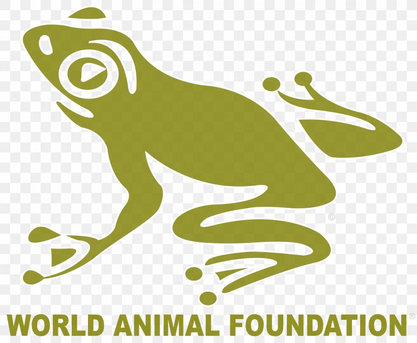 The Animal Foundation Non-profit Organisation Otter Wildlife Conservation, PNG, 2550x2100px, Animal, Adoption, Amphibian, Animal Foundation, Animal Sanctuary Download Free