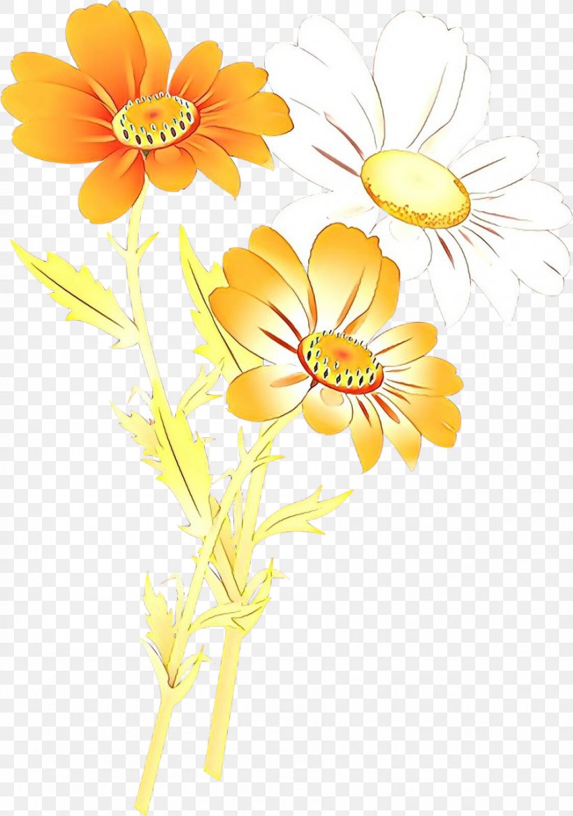 Daisy, PNG, 898x1280px, Cartoon, Chamomile, Daisy, Flower, Flowering Plant Download Free