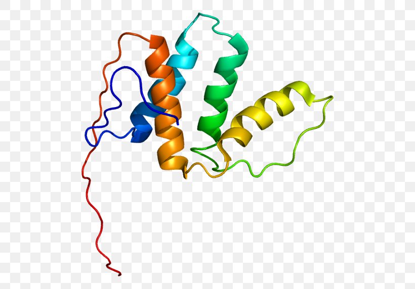 Gene Enoyl CoA Isomerase Enzyme Wikipedia ACOX1, PNG, 548x572px, Watercolor, Cartoon, Flower, Frame, Heart Download Free