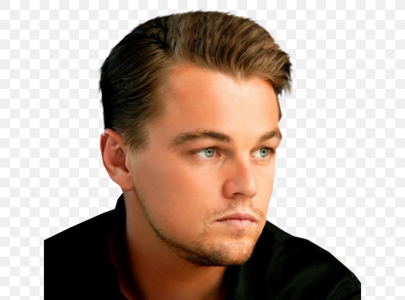 Leonardo DiCaprio Django Unchained Film Producer Actor 4K Resolution, PNG, 643x608px, 4k Resolution, Leonardo Dicaprio, Academy Award For Best Actor, Academy Awards, Actor Download Free