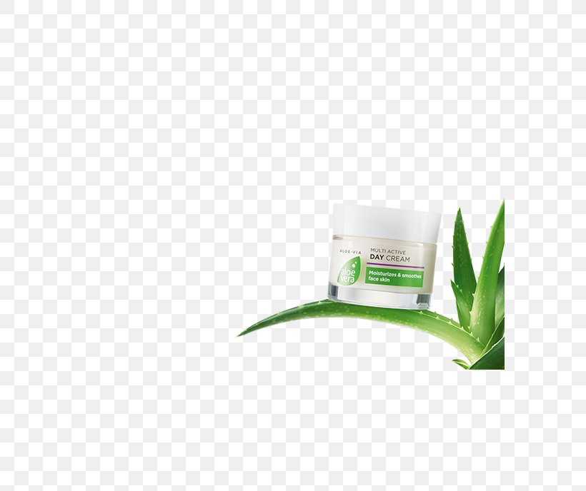 LR Health & Beauty Systems Aloe Vera LR Online Shop Plant Skin, PNG, 592x688px, Lr Health Beauty Systems, Aloe Vera, Aloes, Cinema, Copyright Download Free
