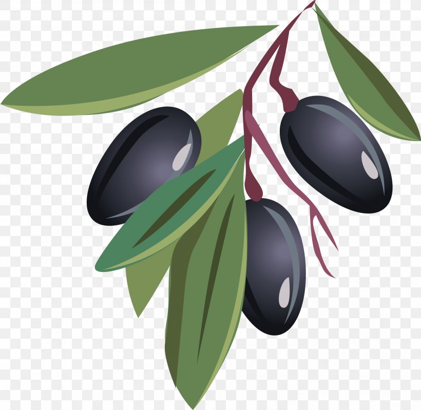 Olive Oil Fruit, PNG, 2084x2031px, Olive, Fruit, Leaf, Oil, Olive Branch Download Free