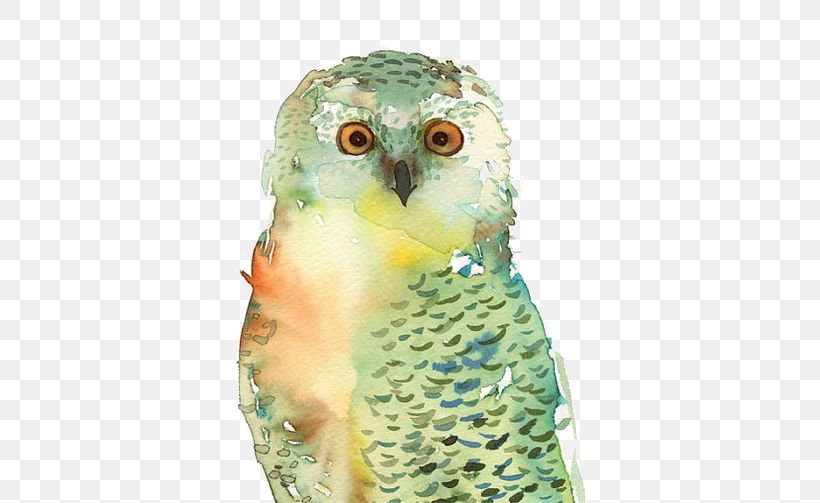 Owl T-shirt Bird Paper Watercolor Painting, PNG, 564x503px, Owl, Art, Barn Owl, Beak, Bird Download Free