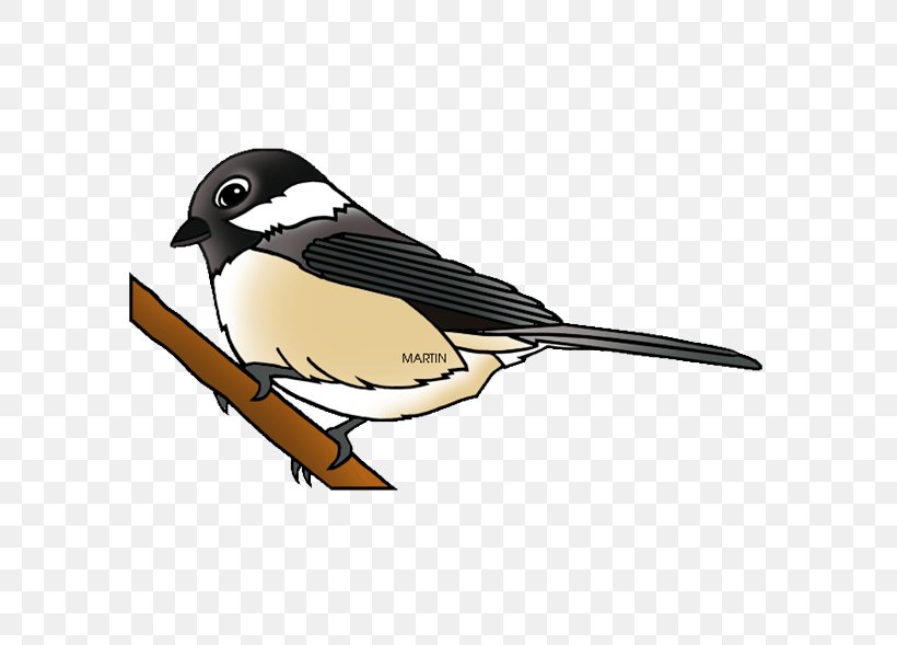 Black-capped Chickadee Clip Art, PNG, 589x589px, Chickadee, Beak, Bird, Blackcapped Chickadee, Carolina Chickadee Download Free