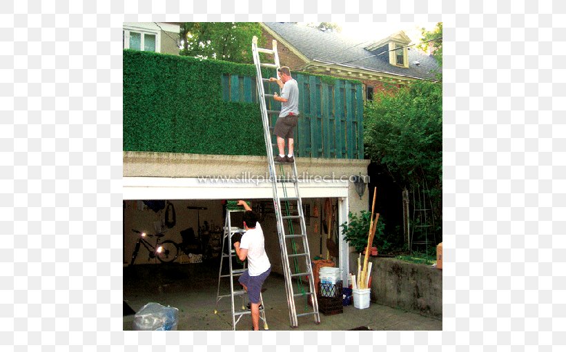 Box Window Hedge Plant Green Wall, PNG, 510x510px, Box, Amaryllis, Backyard, Canopy, Green Wall Download Free