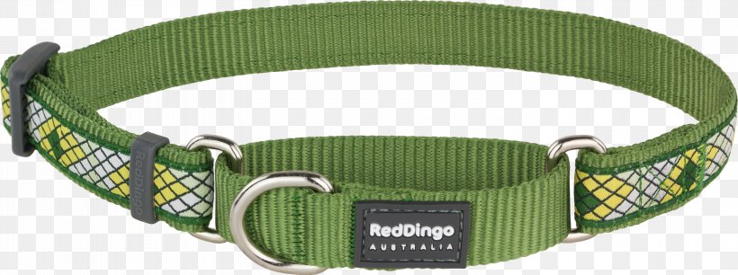 Dog Collar Dingo Dog Collar Martingale, PNG, 3000x1122px, Dog, Belt, Buckle, Cat, Collar Download Free