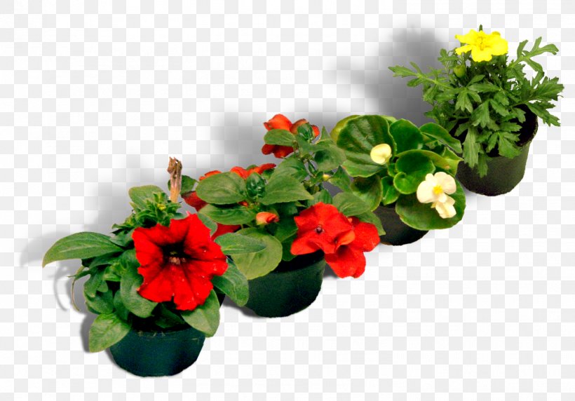 Floral Design Flowerpot Artificial Flower Cut Flowers, PNG, 1503x1049px, Floral Design, Annual Plant, Artificial Flower, Cut Flowers, Floristry Download Free