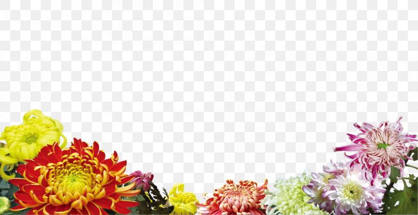 Flower Poster, PNG, 1006x520px, Flower, Chrysanthemum, Chrysanths, Color, Cut Flowers Download Free