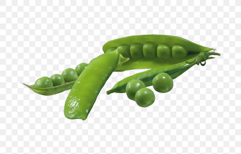 Pea Vegetable Pod Clip Art, PNG, 760x524px, Pea, Bean, Food, Fruit, Green Bean Download Free
