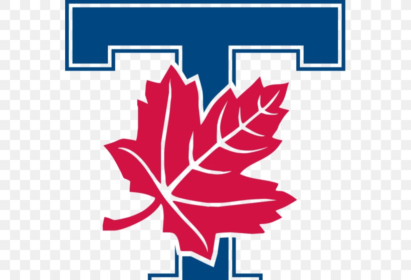 University Of Toronto Toronto Varsity Blues Football Toronto Varsity Blues Men's Soccer Ontario University Athletics, PNG, 560x560px, University Of Toronto, Area, Faculty, Flower, Flowering Plant Download Free