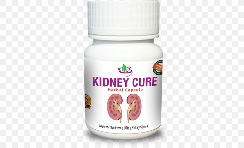 Ayurveda Medicine Kidney Failure Health, PNG, 500x500px, Ayurveda, Cure, Disease, Fruit, Health Download Free