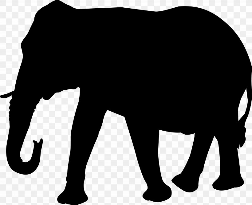 Elephant Background, PNG, 7723x6290px, Elephant, African Elephant, Animal Figure, Blackandwhite, Drawing Download Free
