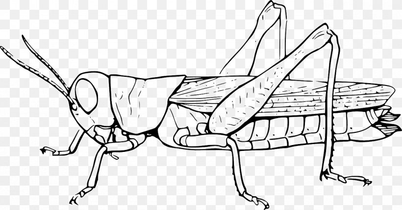 Insect The Ant And The Grasshopper Locust Clip Art, PNG, 1280x672px, Insect, Animal, Ant And The Grasshopper, Artwork, Black And White Download Free