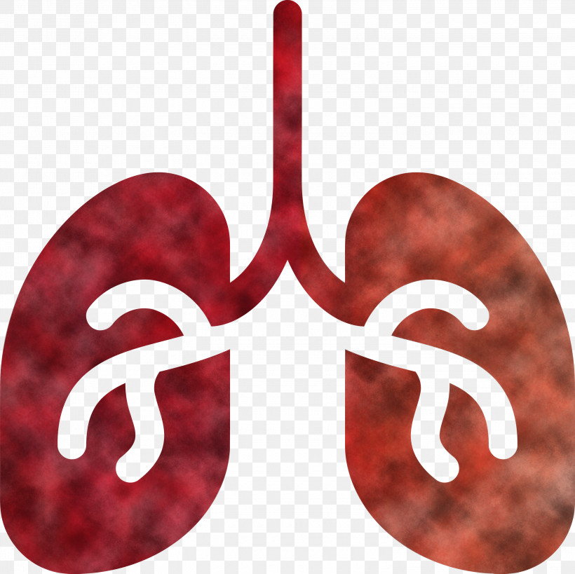 Lung Medical Healthcare, PNG, 3000x2999px, Lung, Healthcare, Medical, Ornament, Symbol Download Free