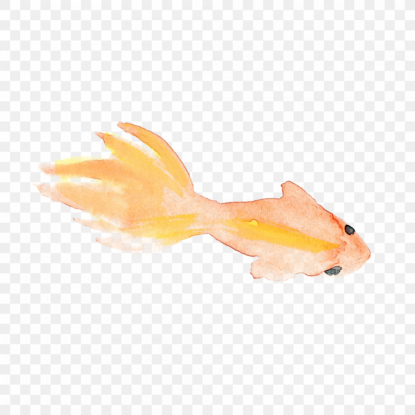 Orange, PNG, 2000x2000px, Watercolor Fish, Bonyfish, Feeder Fish, Fish, Goldfish Download Free