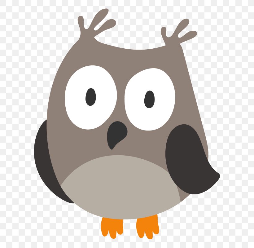 Owl Vector Graphics Clip Art Illustration, PNG, 800x800px, Owl, Animated Cartoon, Animation, Bird, Bird Of Prey Download Free