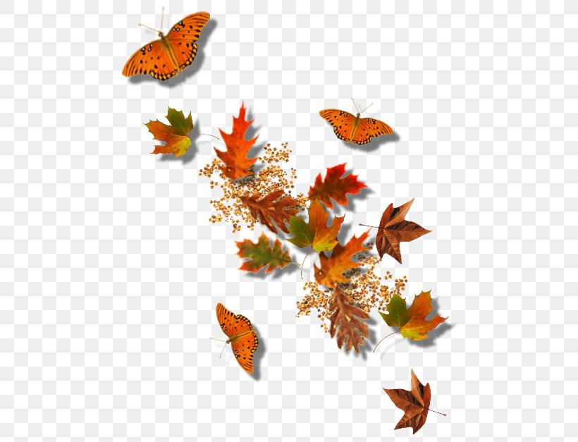 Autumn Picture Frame Clip Art, PNG, 510x627px, Autumn, Animation, Butterfly, Insect, Invertebrate Download Free