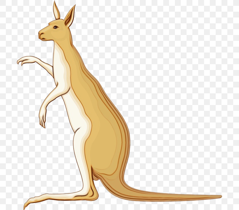 Macropods Kangaroo Hares Marsupials Tail, PNG, 704x720px, Watercolor, Animal Figurine, Cartoon, Kangaroo, Macropods Download Free
