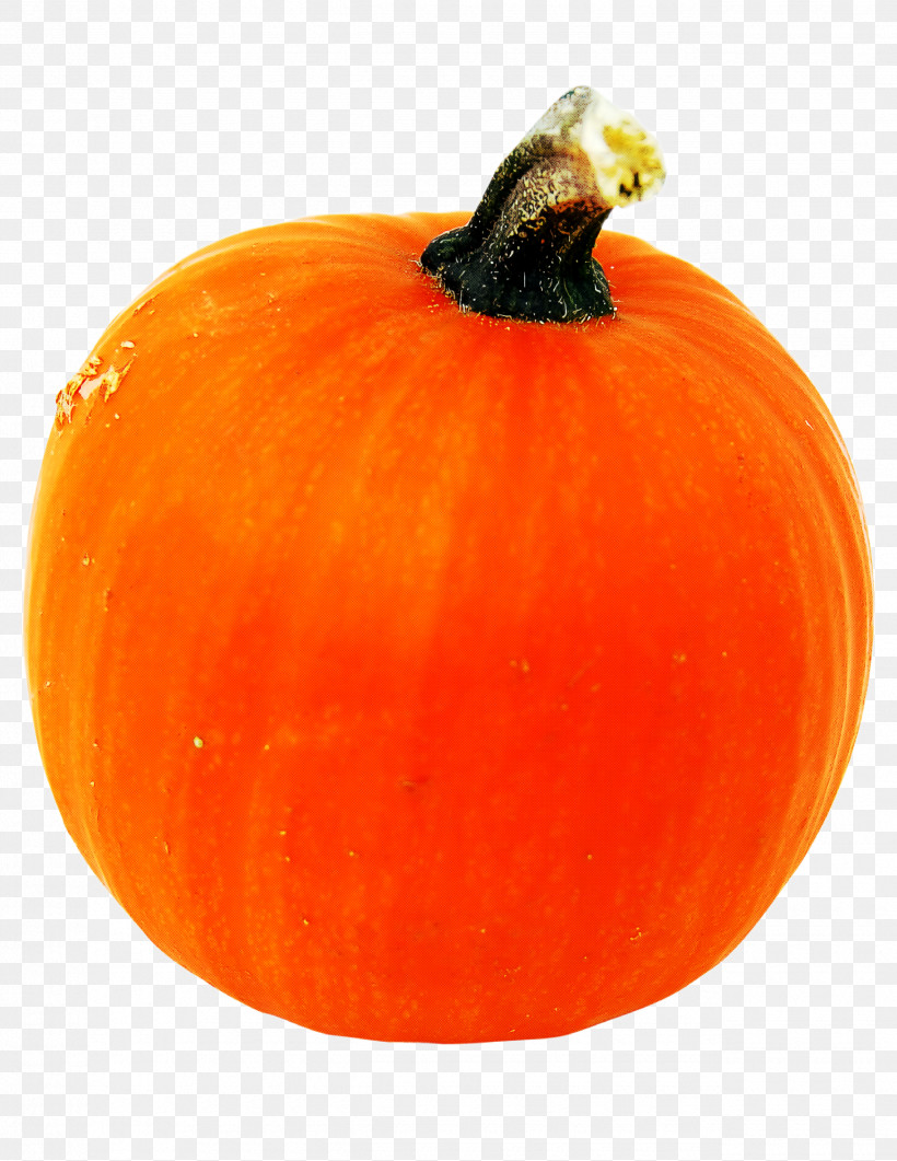 Pumpkin, PNG, 2550x3300px, Pumpkin, Calabaza, Cucurbita, Food, Fruit Download Free