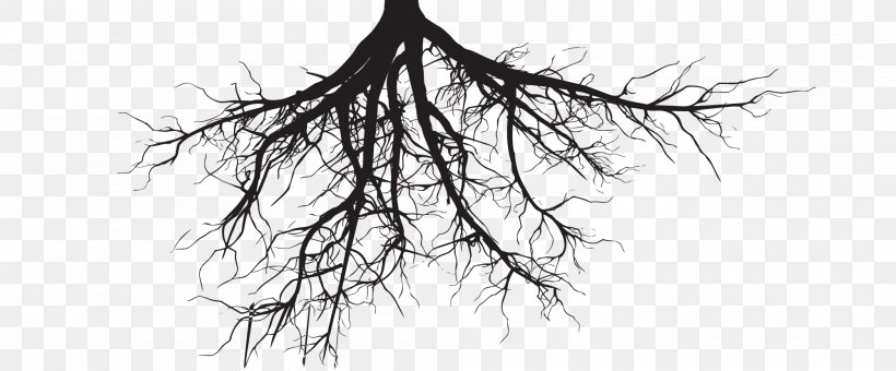 Clip Art Tree Root Illustration, PNG, 2000x830px, Tree, Blackandwhite, Branch, Drawing, Photography Download Free