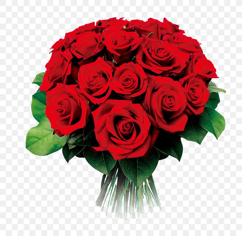 Grasse Flower Bouquet Garden Roses Florist, PNG, 800x800px, Grasse, Artificial Flower, Birthday, Bride, Cut Flowers Download Free