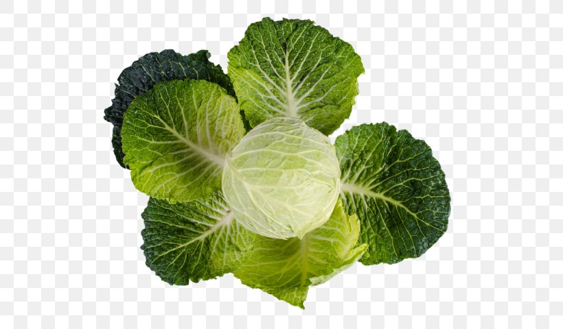 Nutrient Vitamin K Deficiency Vitamin A, PNG, 539x480px, Nutrient, Cabbage, Collard Greens, Deficiency, Diet Download Free