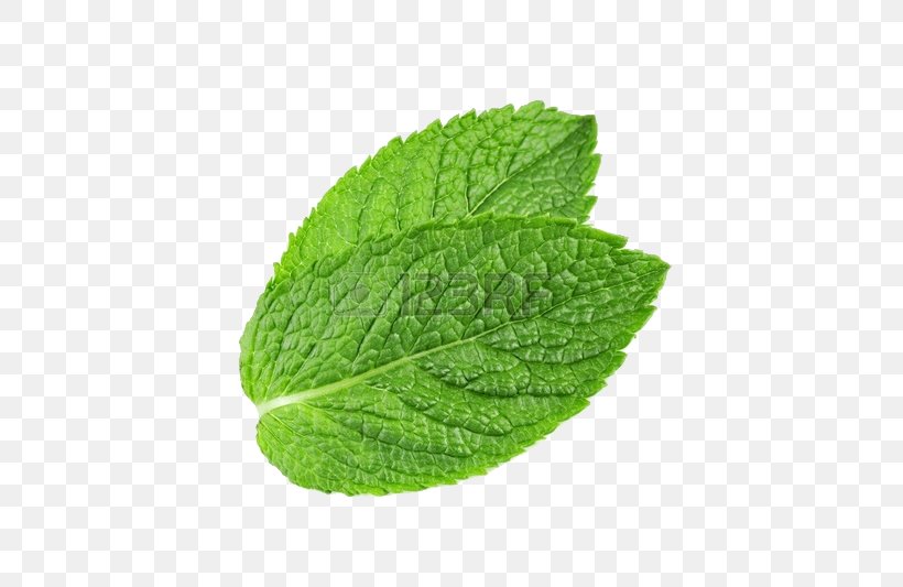 Peppermint Mentha Spicata Water Mint Mentha Arvensis, PNG, 674x533px, Peppermint, Herb, Herbalism, Leaf, Mentha Arvensis Download Free