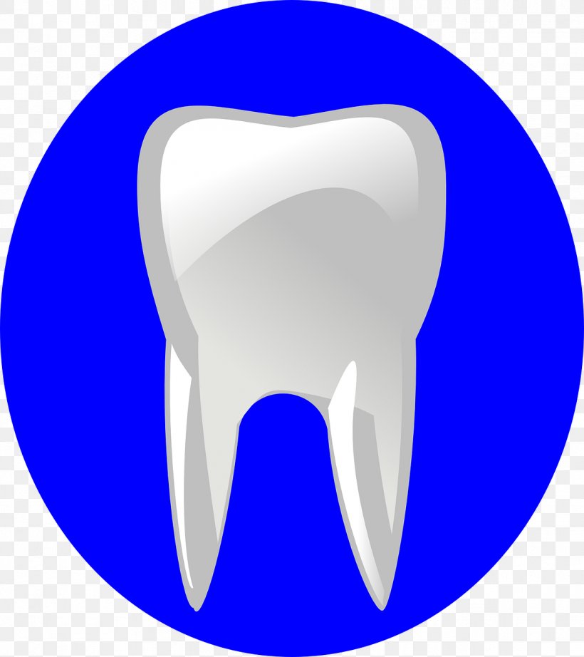 Dentistry Human Tooth Clip Art, PNG, 1138x1280px, Watercolor, Cartoon, Flower, Frame, Heart Download Free