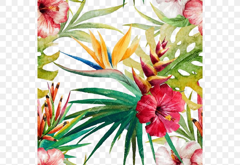 Royalty-free Watercolor Painting Stock Illustration Illustration, PNG, 564x564px, Royaltyfree, Annual Plant, Art, Cut Flowers, Drawing Download Free