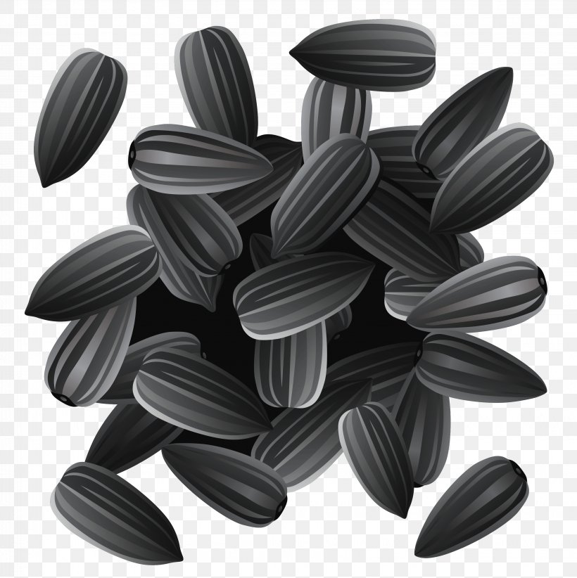 Sunflower Seed Common Sunflower Clip Art, PNG, 3261x3272px ...