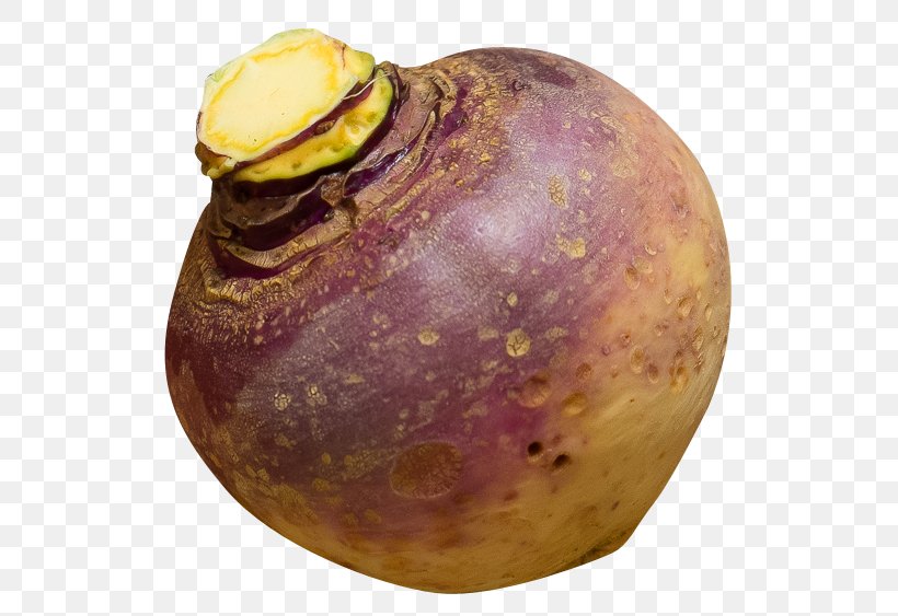 Turnip Rutabaga Daikon, PNG, 581x563px, Turnip, Cauliflower, Daikon, Food, Food Spoilage Download Free