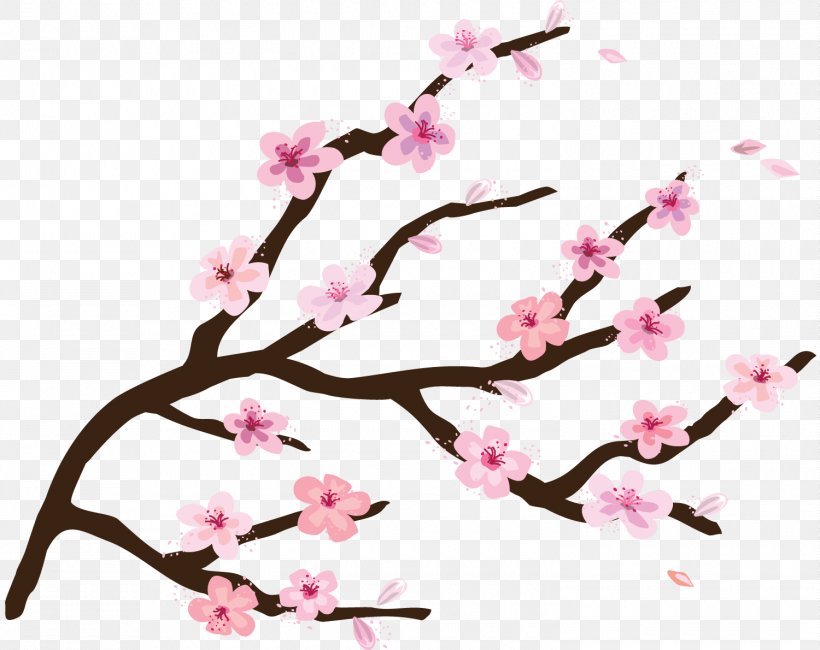 Camden National Cherry Blossom Festival, PNG, 1500x1190px, Camden, Blossom, Branch, Cherry, Cherry Blossom Download Free