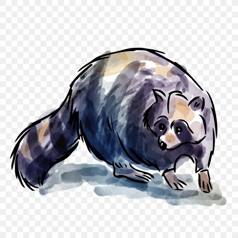 Raccoon Animal Adobe Illustrator, PNG, 1500x1500px, Raccoon, Animal, Bear, Carnivoran, Cat Like Mammal Download Free