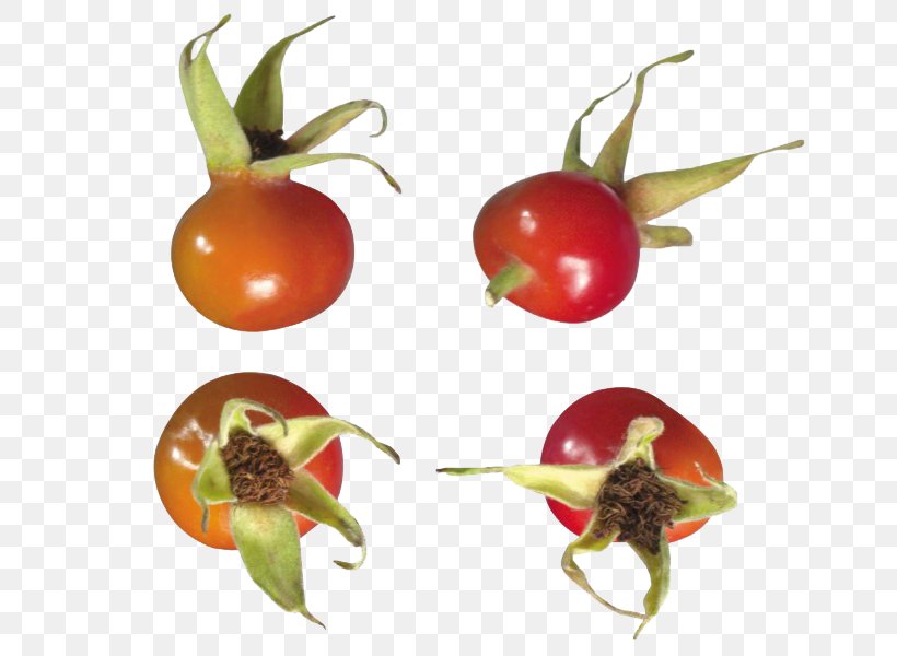 Beach Rose Rose Hip Rosa Multiflora Tomato Png 700x600px Beach Rose Animal Sauvage Apple Auglis Food