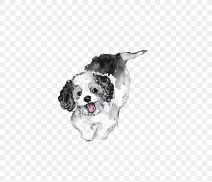 English Springer Spaniel English Setter Cavalier King Charles Spaniel Stabyhoun Puppy, PNG, 1000x858px, English Springer Spaniel, Breed, Carnivoran, Cavachon, Cavalier King Charles Spaniel Download Free