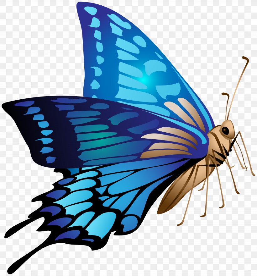 Monarch Butterfly Clip Art Image, PNG, 7469x8000px, Monarch Butterfly, Art, Arthropod, Borboleta, Brush Footed Butterfly Download Free