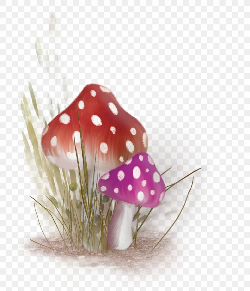 Mushroom Pixel Clip Art, PNG, 880x1024px, Mushroom, Designer, Fairy, Image Hosting Service, Petal Download Free