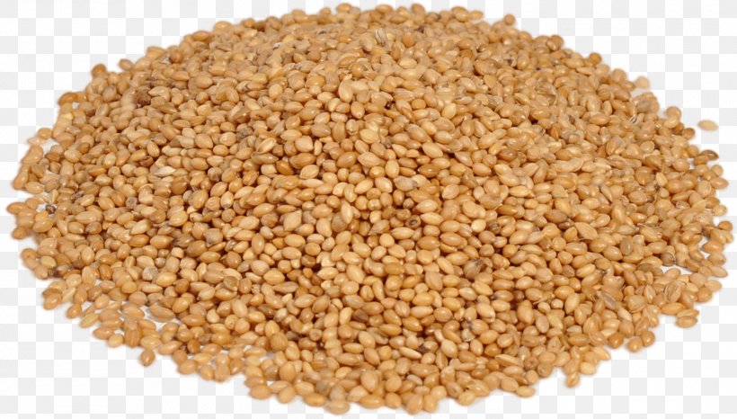 Panicgrass Cereal Germ Safflower Grain, PNG, 1499x853px, Panicgrass, Bran, Cattle, Cereal, Cereal Germ Download Free